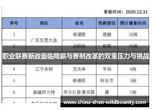 职业联赛新政面临降薪与赛制改革的双重压力与挑战 职业联赛新政面临降薪与赛制改革的双重压力与挑战