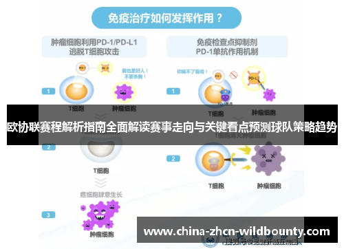 欧协联赛程解析指南全面解读赛事走向与关键看点预测球队策略趋势