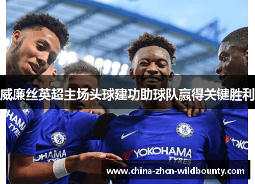 威廉丝英超主场头球建功助球队赢得关键胜利
