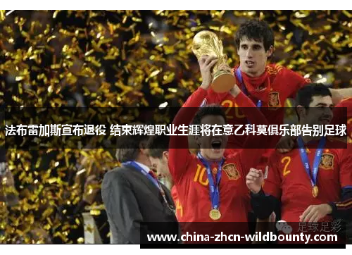 法布雷加斯宣布退役 结束辉煌职业生涯将在意乙科莫俱乐部告别足球 法布雷加斯宣布退役 结束辉煌职业生涯将在意乙科莫俱乐部告别足球