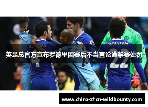 英足总官方宣布罗德里因赛后不当言论遭禁赛处罚 英足总官方宣布罗德里因赛后不当言论遭禁赛处罚